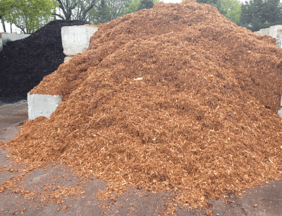 Cedar mulch